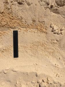 Masonry Sand - Ruler View